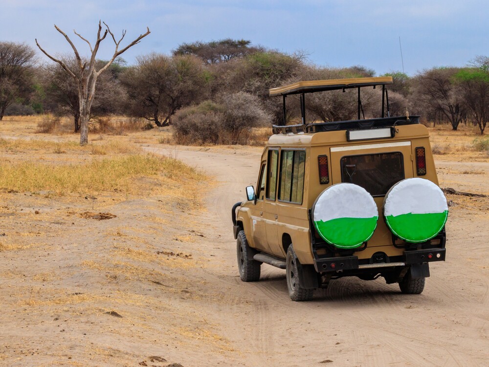 Off road car driving in Tarangire national park in Tanzania. Safari in Africa