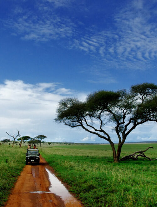 Tarangire National Park