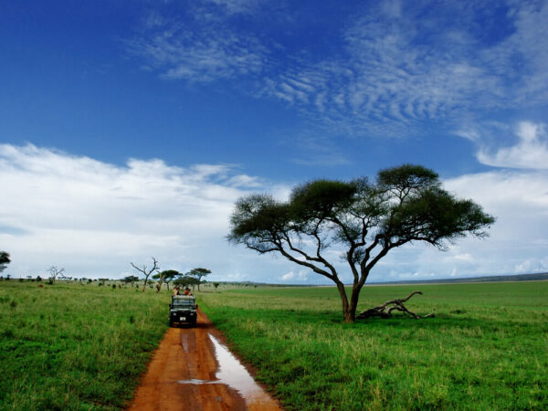 Tarangire National Park