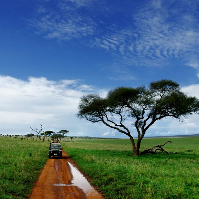 Tarangire National Park